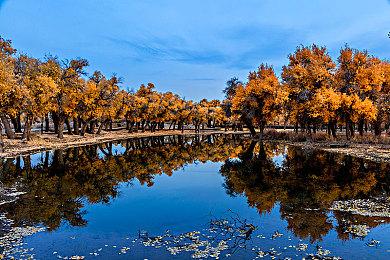 《阿凡达：潘多拉边境》发布更新档 优化PC版性能